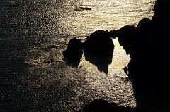 291-San Pietro,1 agosto 2014